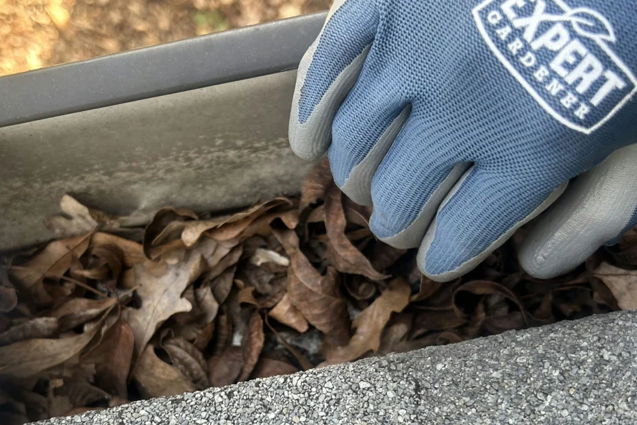 Gutter Cleaning Lake Worth Beach FL