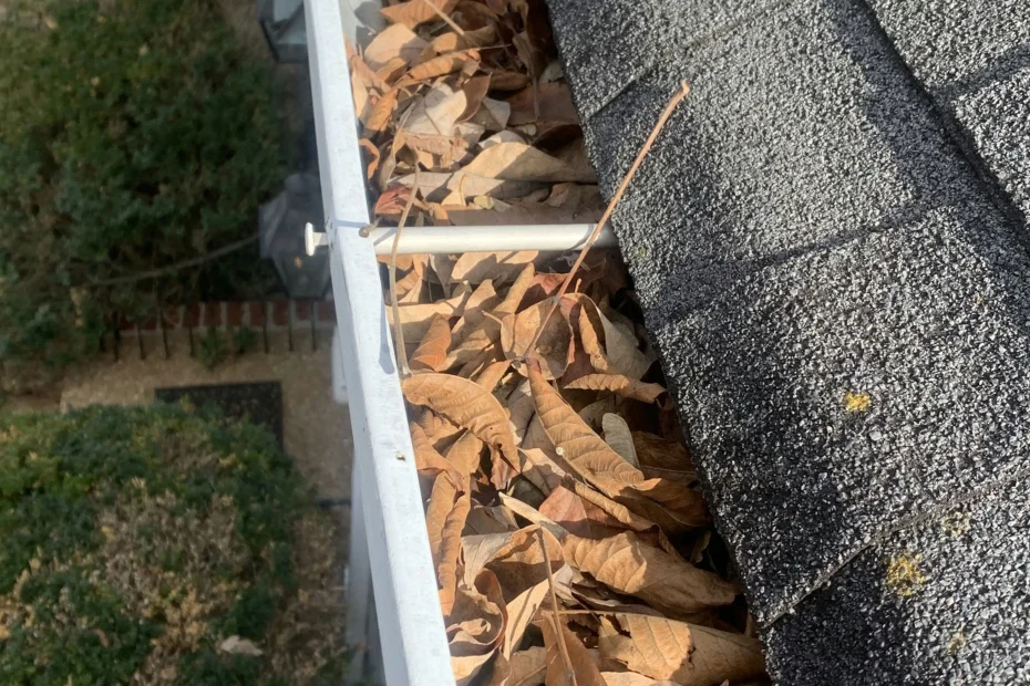 Gutter Cleaning Lake Worth Beach FL