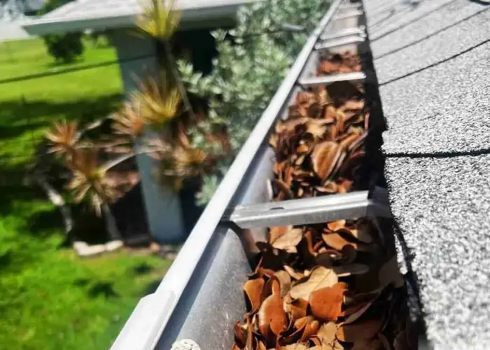 Gutter Cleaning Lake Worth Beach FL home page